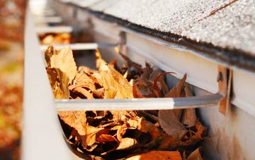 Tyn Y Ffordd gutter cleaning companies